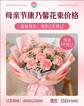 齐齐哈尔建华区花店母亲节康乃馨花束
