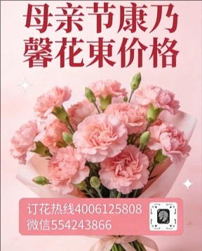 齐齐哈尔建华区花店母亲节康乃馨花束